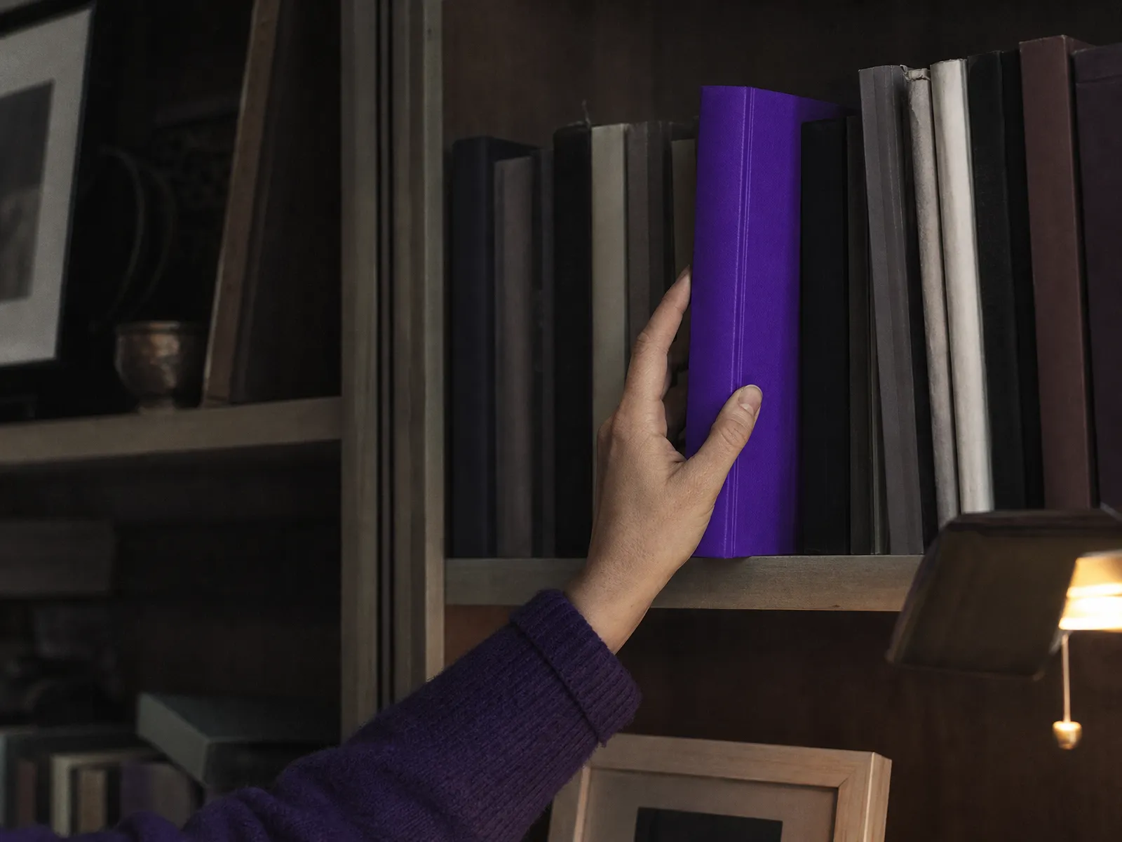 A hand lifting a single book with a violet spine from a shelf in a quiet study, illustrating how a blog builds a library of connected posts.