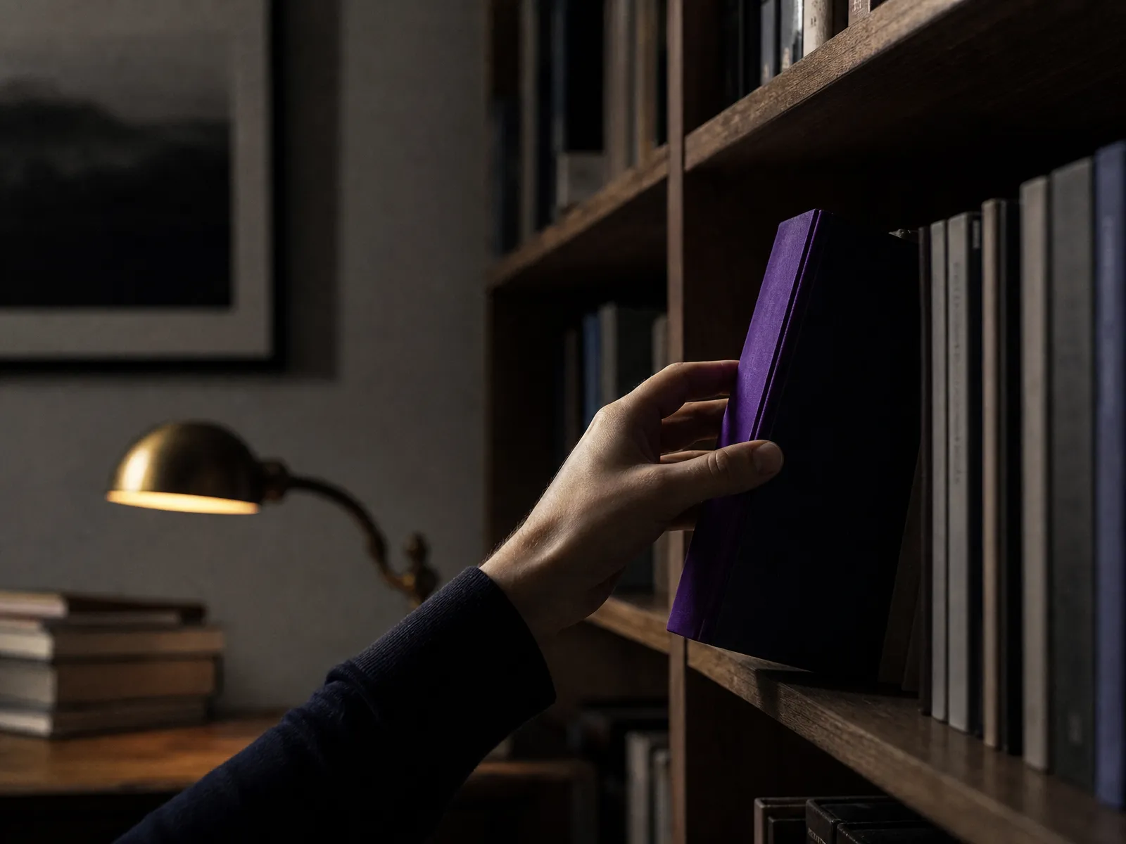 A hand lifting a single book with a violet spine from a quiet study shelf, illustrating the value behind SEO price bands.