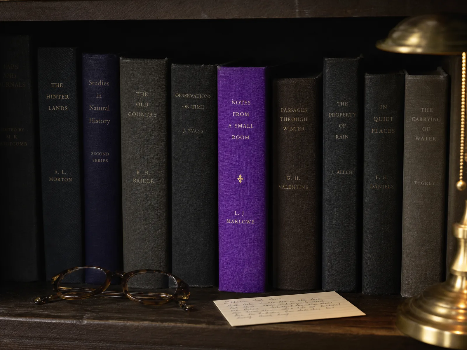 A library shelf with a violet-spined book and brass lamp, illustrating the regulatory layer of UK dental SEO.